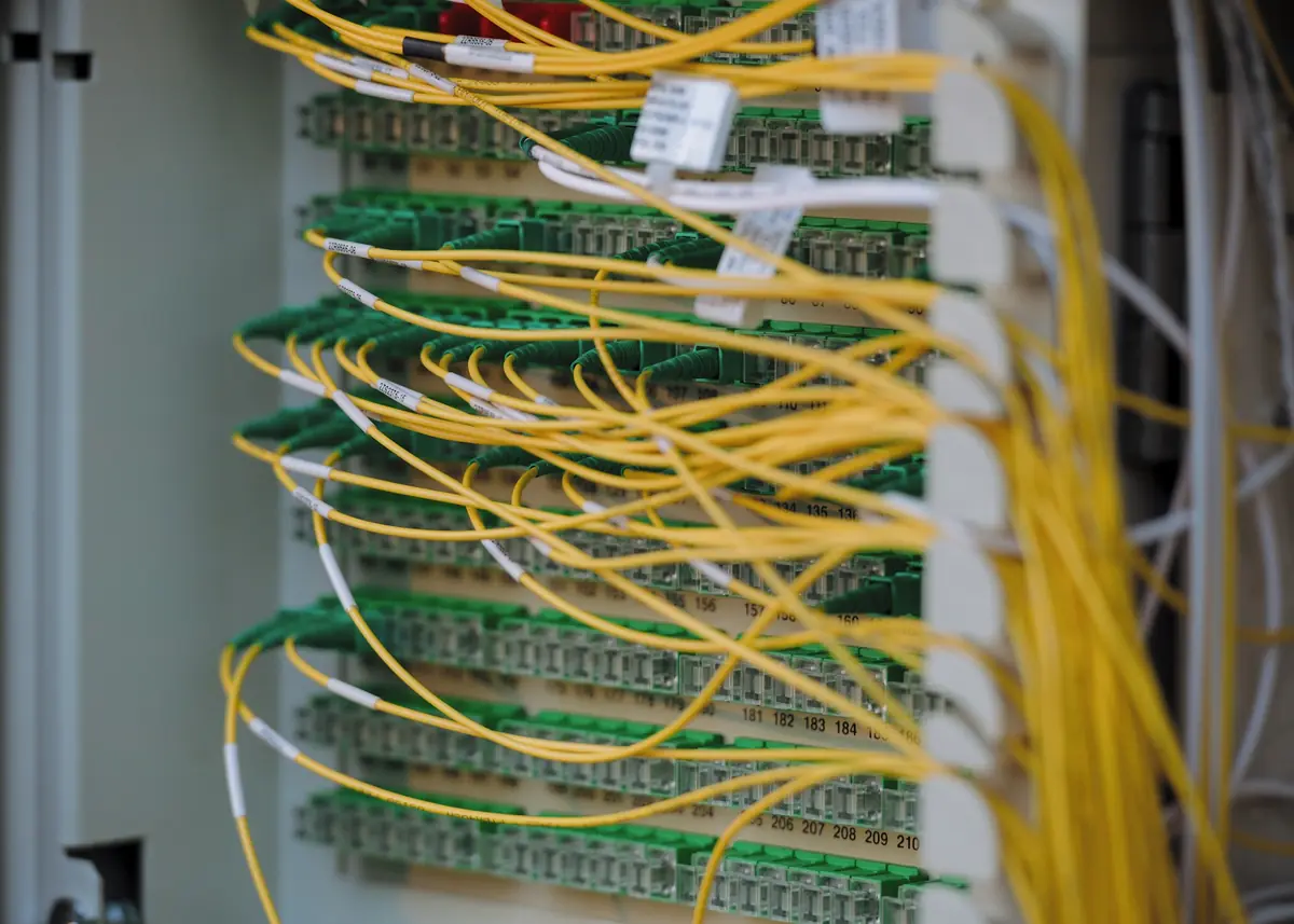 Cables de fibra òptica en un armari de telecomunicacions